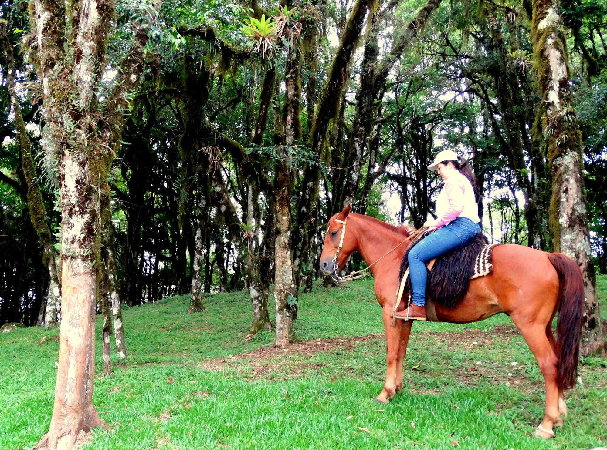 Pousada Chales Da Montanha Gramado Esterno foto
